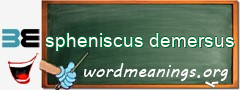 WordMeaning blackboard for spheniscus demersus